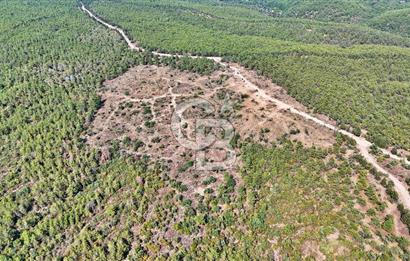 EZİNE ÇAMLICA DA MÜKEMMEL FIRSAT ARAZİ