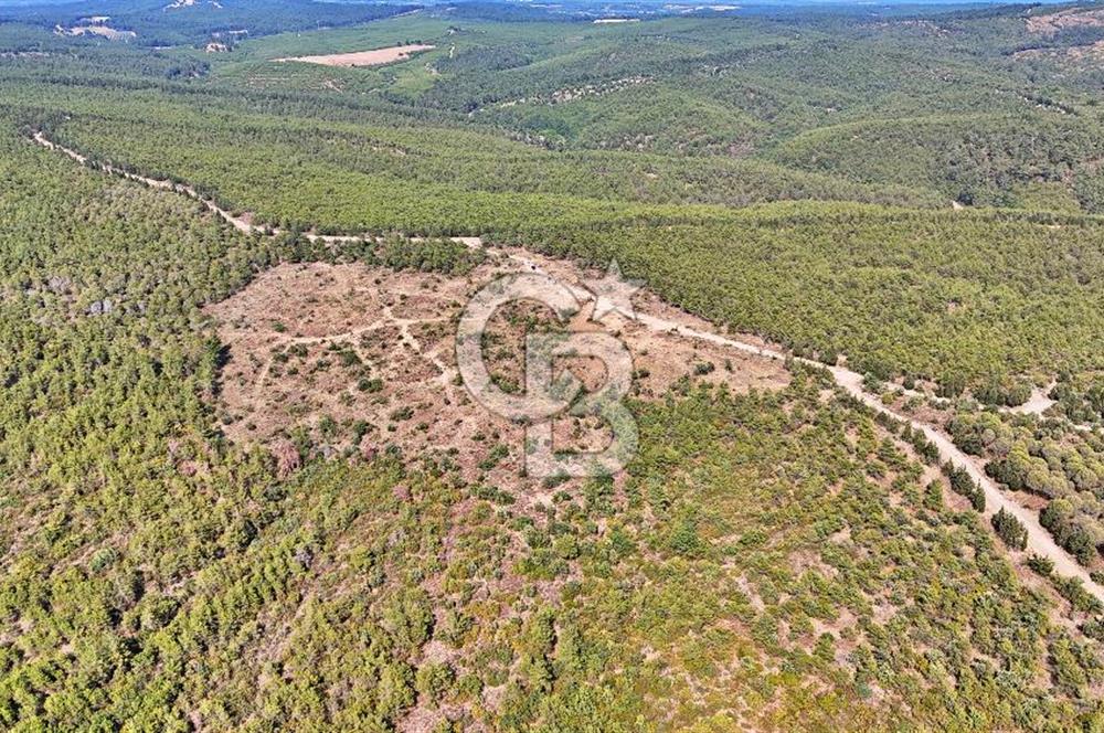EZİNE ÇAMLICA DA MÜKEMMEL FIRSAT ARAZİ
