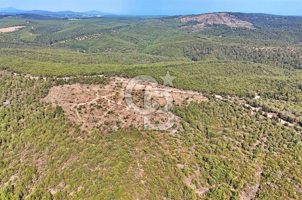 EZİNE ÇAMLICA DA MÜKEMMEL FIRSAT ARAZİ