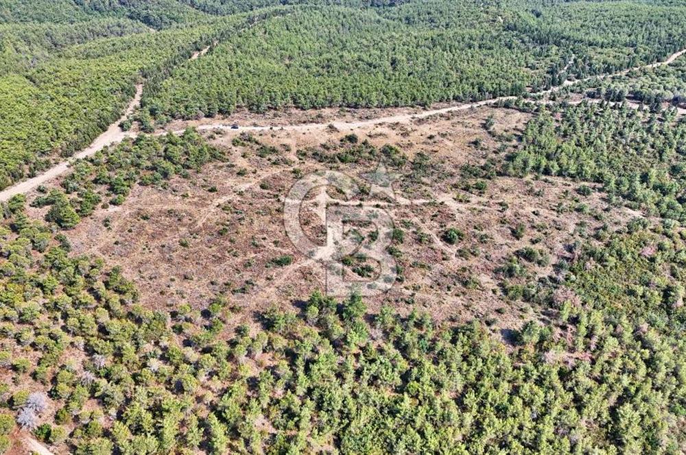 EZİNE ÇAMLICA DA MÜKEMMEL FIRSAT ARAZİ