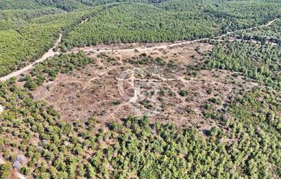 EZİNE ÇAMLICA DA MÜKEMMEL FIRSAT ARAZİ