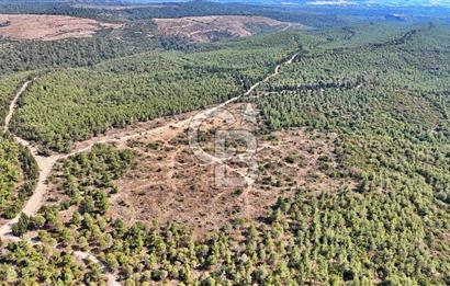 EZİNE ÇAMLICA DA MÜKEMMEL FIRSAT ARAZİ