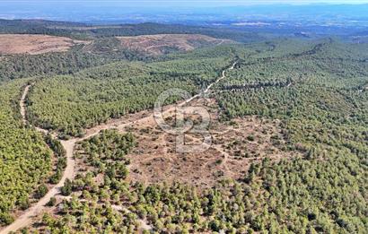 EZİNE ÇAMLICA DA MÜKEMMEL FIRSAT ARAZİ