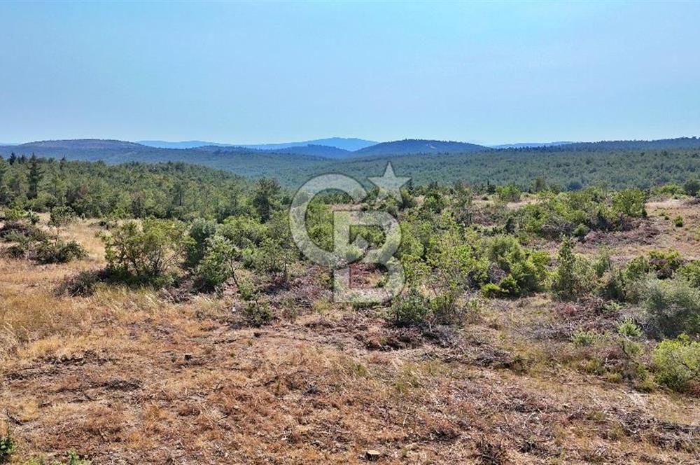EZİNE ÇAMLICA DA MÜKEMMEL FIRSAT ARAZİ