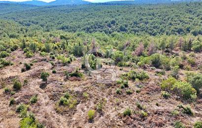 EZİNE ÇAMLICA DA MÜKEMMEL FIRSAT ARAZİ