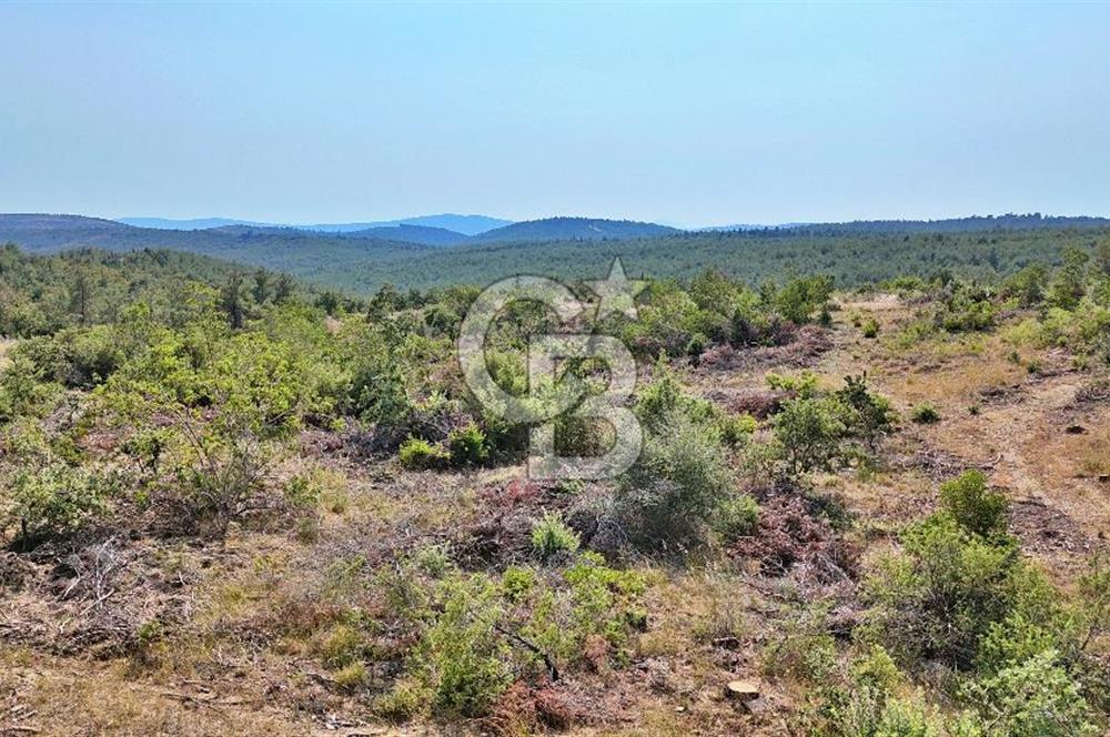 EZİNE ÇAMLICA DA MÜKEMMEL FIRSAT ARAZİ