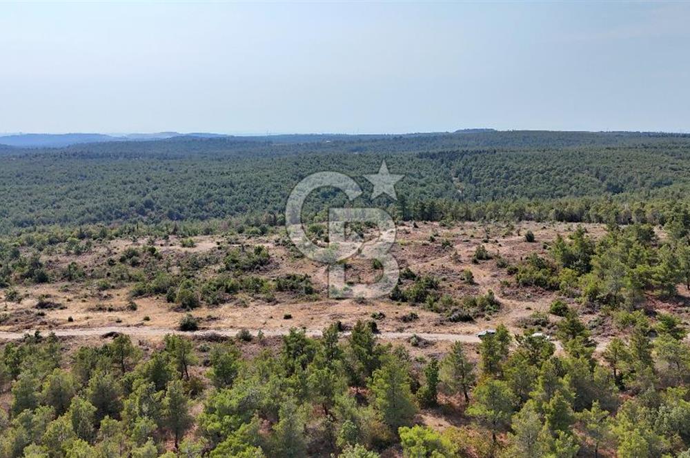 EZİNE ÇAMLICA DA MÜKEMMEL FIRSAT ARAZİ