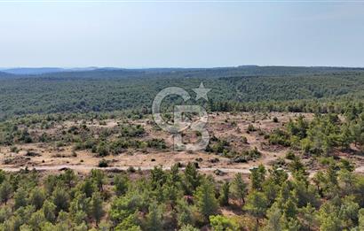 EZİNE ÇAMLICA DA MÜKEMMEL FIRSAT ARAZİ