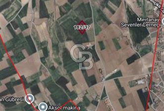 Kahrmankazan Örencik Tek Tapu 6694m2 SATILIK TARLA