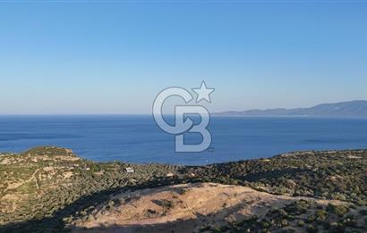 ASSOS'UN İNCİSİ BEKTAŞTA SATILIK ZEYTİNLİK
