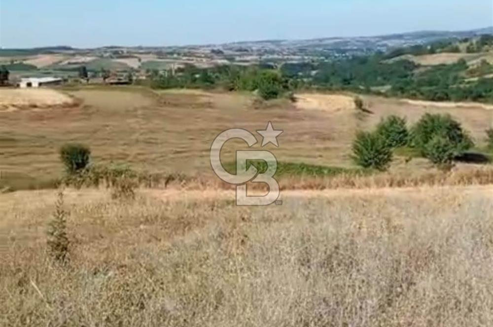 İZMİT AMBARCI DA MERKEZE ÇOK YAKIN 849,50M2 ACİL SATILIK ARSA
