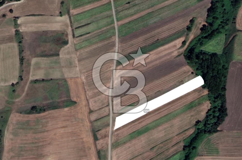 SİLİVRİ BÜYÜK KILIÇLI'DA YATIRIMA UYGUN 138 M2 TARLA FIRSATI