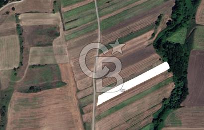 SİLİVRİ BÜYÜK KILIÇLI'DA YATIRIMA UYGUN 138 M2 TARLA FIRSATI