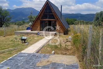 KEMALPAŞA CUMALİ DA İCİNDE EV BULUNAN SATILIK ZEYTİNLİ TARLA