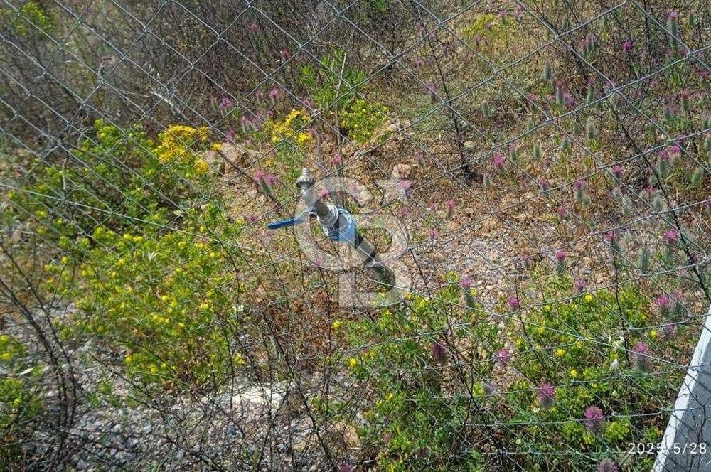 İZMİR KEMALPASA CUMALİ SATILIK TARLA 1573 M2