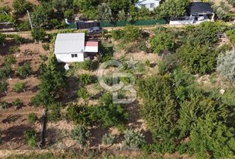 Kemalpaşa Armutlu Kuştepe Mevkiinde Satılık 710m2 Bağ