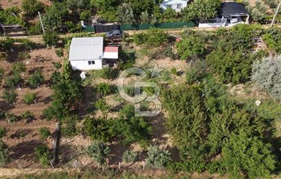 Kemalpaşa Armutlu Kuştepe Mevkiinde Satılık 710m2 Bağ