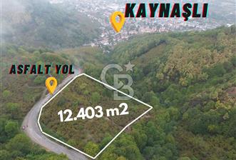 Düzce Kaynaşlı’da 12.403 m2 Asfalt Cephe Satılık Tarla