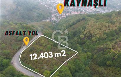 Düzce Kaynaşlı’da 12.403 m2 Asfalt Cephe Satılık Tarla