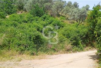 KEMALPAŞA ARMUTLU SATILIK 2765 M2 TEK TAPU BAĞ