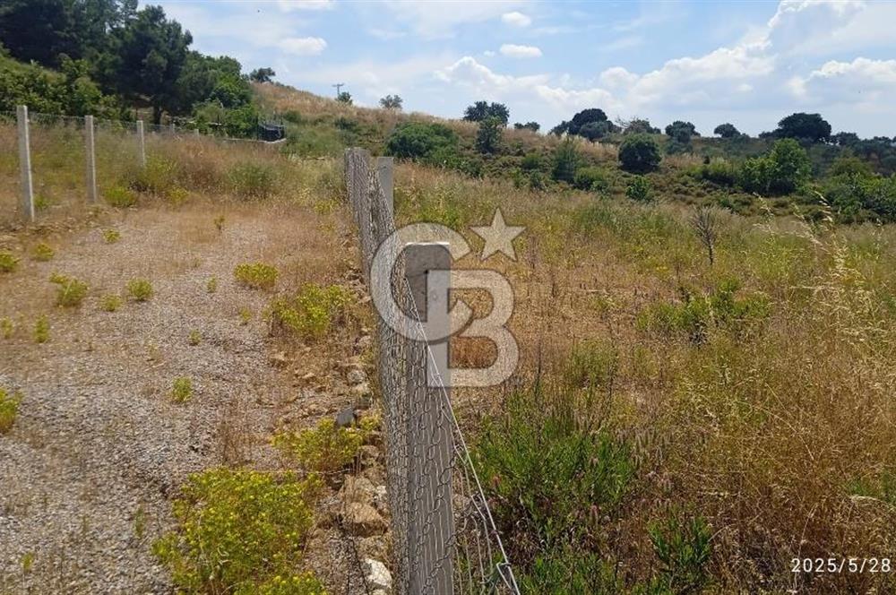 İZMİR KEMALPASA CUMALİ SATILIK TARLA 1573 M2