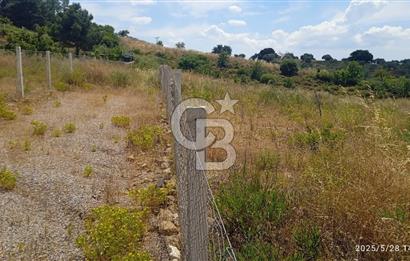 İZMİR KEMALPASA CUMALİ SATILIK TARLA 1573 M2