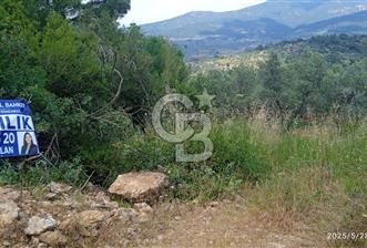 Kemalpaşa Yeşil köy Ovasinda Satılık Bağ 7798 m2