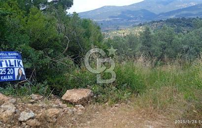 Kemalpaşa Yeşil köy Ovasinda Satılık Bağ 7798 m2