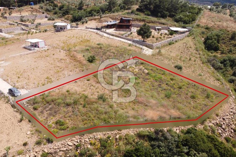 İZMİR KEMALPASA CUMALİ SATILIK TARLA 1573 M2