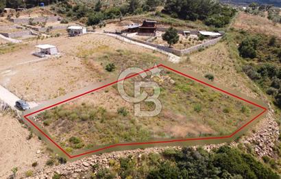 İZMİR KEMALPASA CUMALİ SATILIK TARLA 1573 M2
