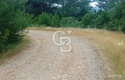 Kemalpaşa Yeşil köy Ovasinda Satılık Bağ 7798 m2