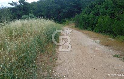 Kemalpaşa Yeşil köy Ovasinda Satılık Bağ 7798 m2