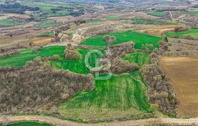 Çanakkale Merkez Kızılkeçili Köyü Ful Deniz Manzaralı 9540m2