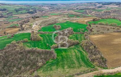 Çanakkale Merkez Kızılkeçili Köyü Ful Deniz Manzaralı 9540m2