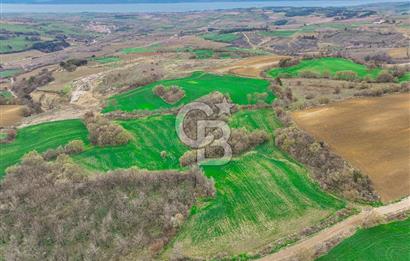 Çanakkale Merkez Kızılkeçili Köyü Ful Deniz Manzaralı 9540m2