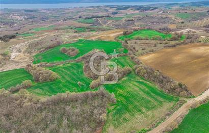 Çanakkale Merkez Kızılkeçili Köyü Ful Deniz Manzaralı 9540m2