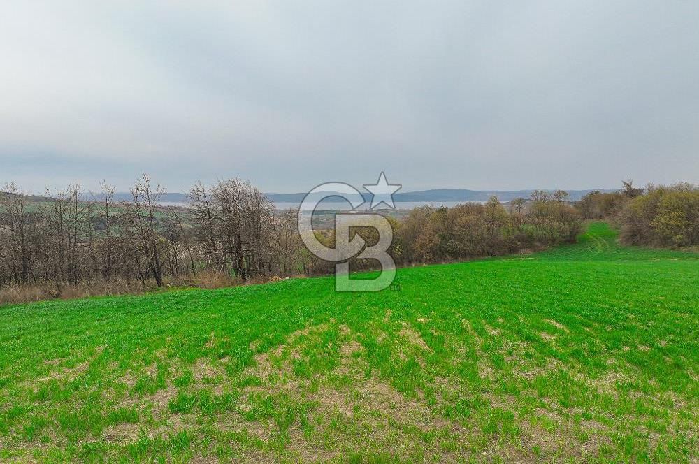 Çanakkale Merkez Kızılkeçili Köyü Ful Deniz Manzaralı 9540m2
