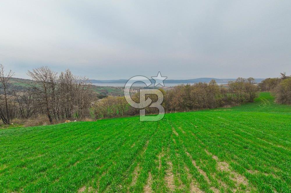 Çanakkale Merkez Kızılkeçili Köyü Ful Deniz Manzaralı 9540m2