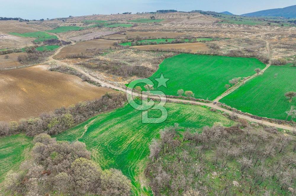 Çanakkale Merkez Kızılkeçili Köyü Ful Deniz Manzaralı 9540m2