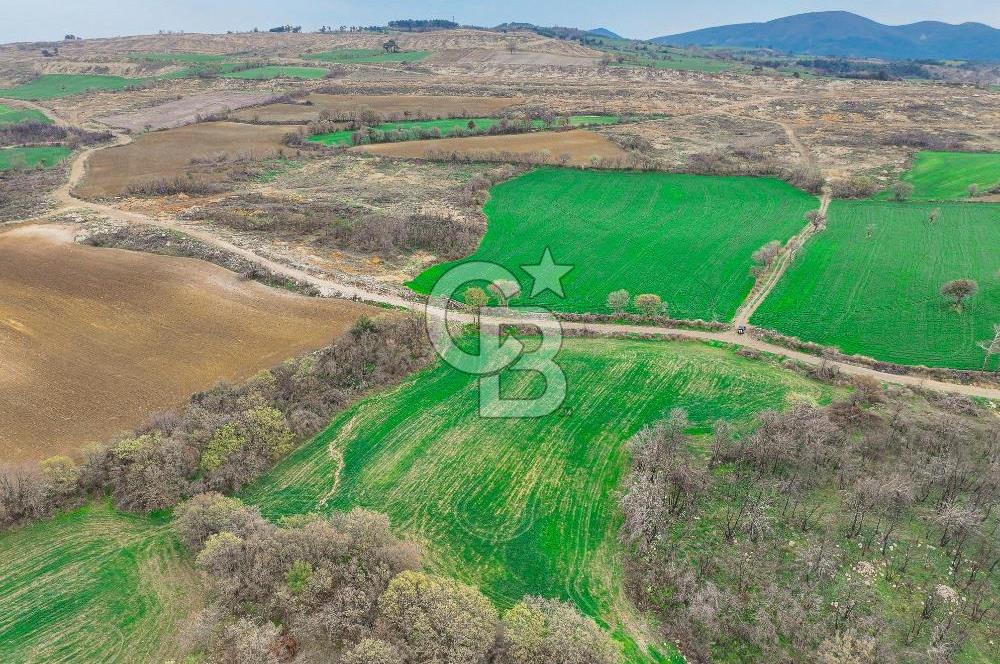 Çanakkale Merkez Kızılkeçili Köyü Ful Deniz Manzaralı 9540m2