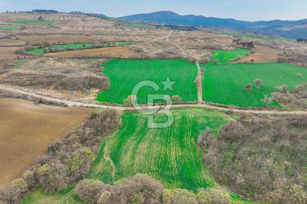 Çanakkale Merkez Kızılkeçili Köyü Ful Deniz Manzaralı 9540m2