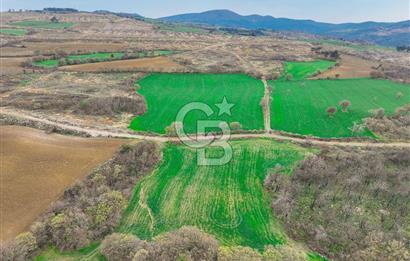 Çanakkale Merkez Kızılkeçili Köyü Ful Deniz Manzaralı 9540m2
