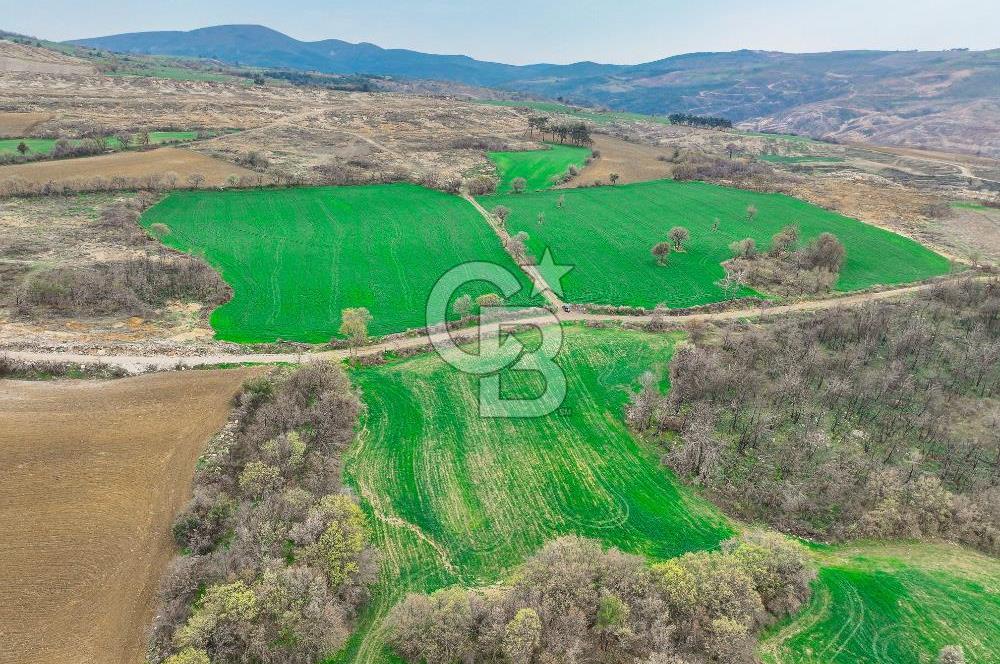 Çanakkale Merkez Kızılkeçili Köyü Ful Deniz Manzaralı 9540m2