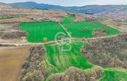 Çanakkale Merkez Kızılkeçili Köyü Ful Deniz Manzaralı 9540m2