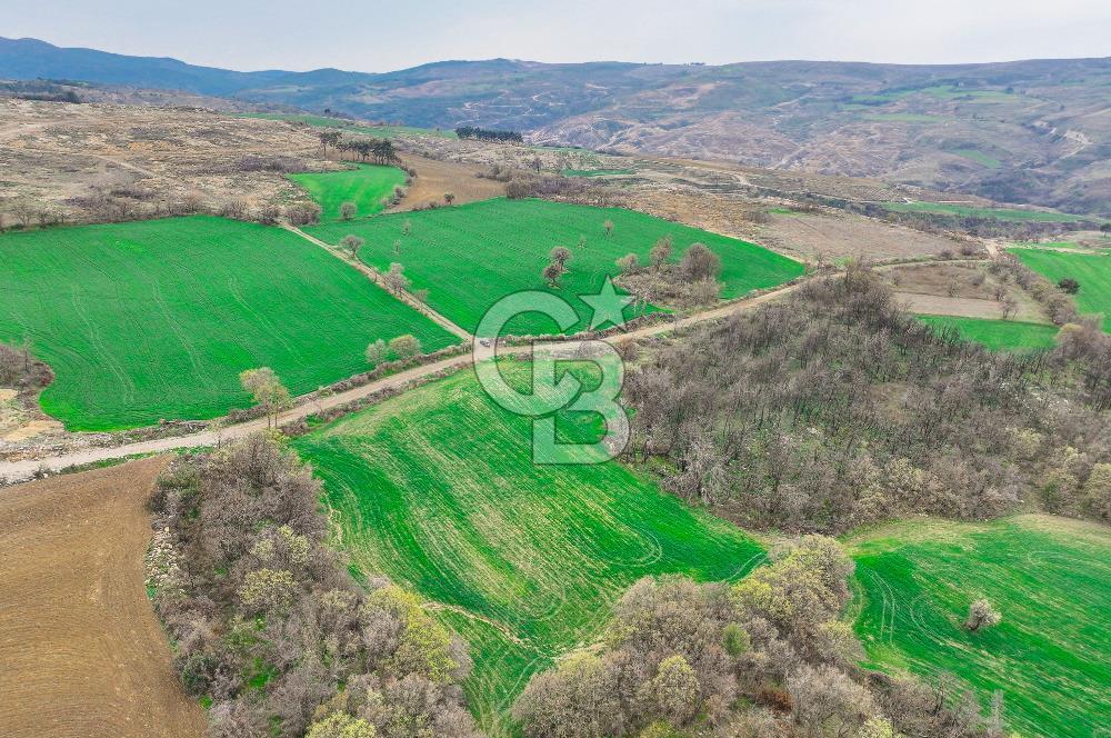 Çanakkale Merkez Kızılkeçili Köyü Ful Deniz Manzaralı 9540m2