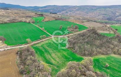 Çanakkale Merkez Kızılkeçili Köyü Ful Deniz Manzaralı 9540m2