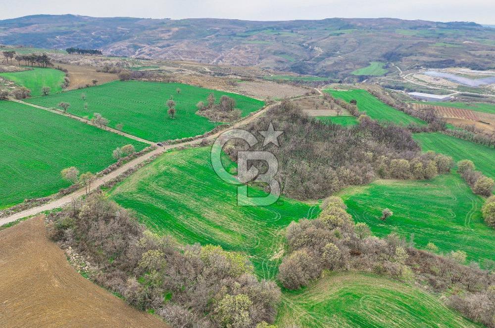 Çanakkale Merkez Kızılkeçili Köyü Ful Deniz Manzaralı 9540m2