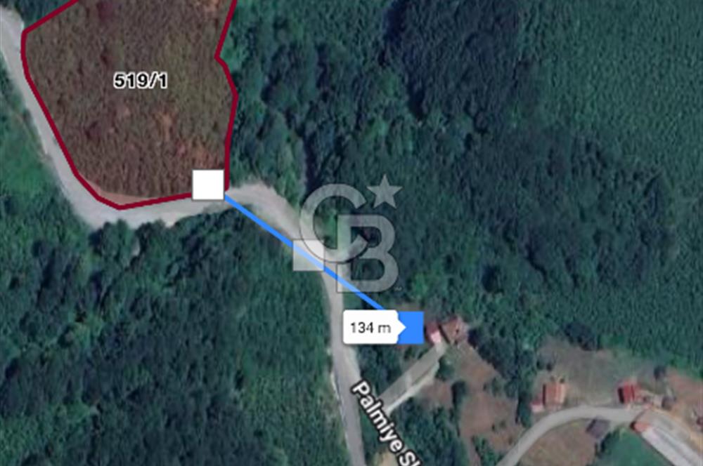 Düzce Kaynaşlı’da 12.403 m2 Asfalt Cephe Satılık Tarla