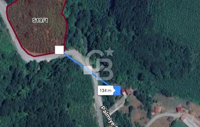 Düzce Kaynaşlı’da 12.403 m2 Asfalt Cephe Satılık Tarla