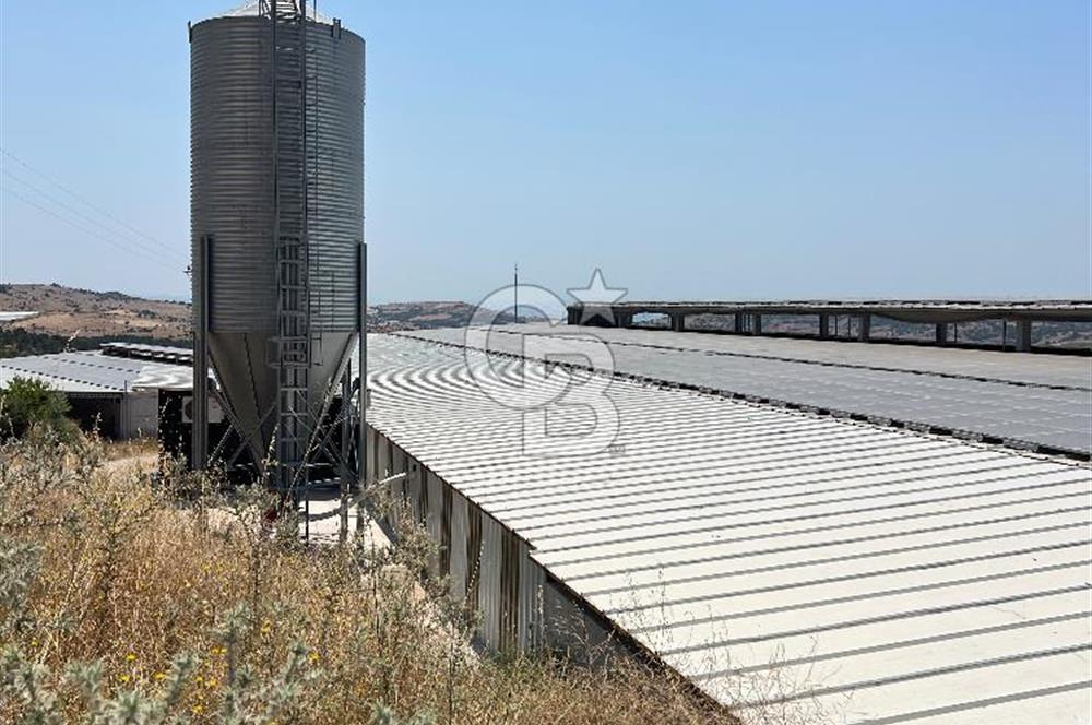 Balıkesir Yeniköyde satılık Çiftlik